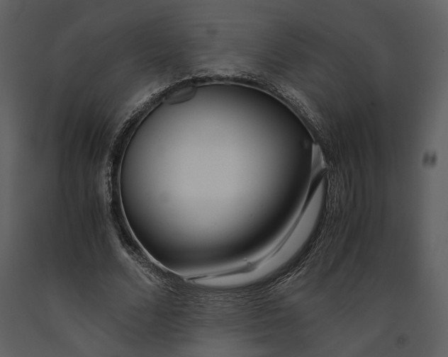 X0000090960680200708241153