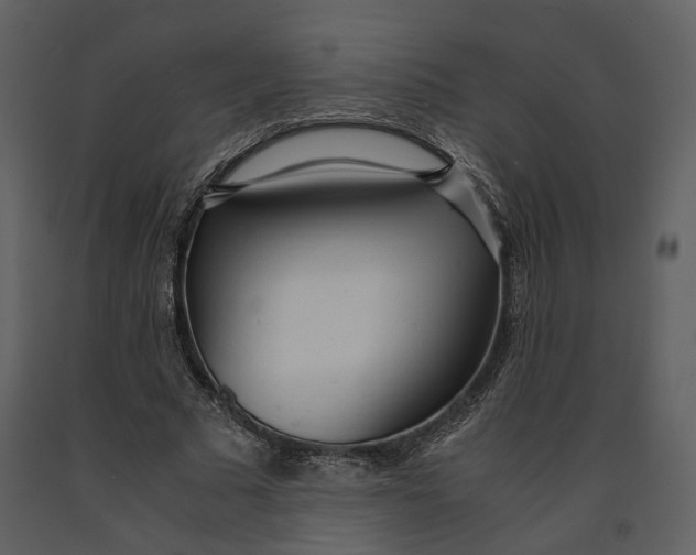 X0000090960681200708241153