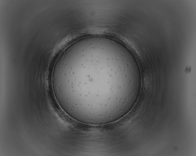 X0000090960682200708241153