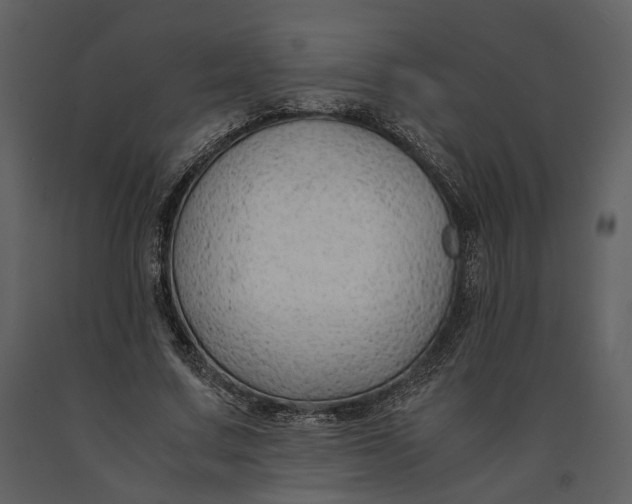 X0000090960683200708241153