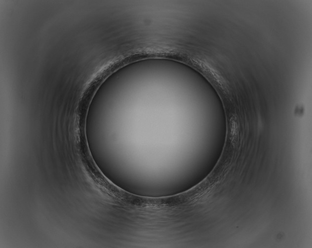 X0000090960684200708241153