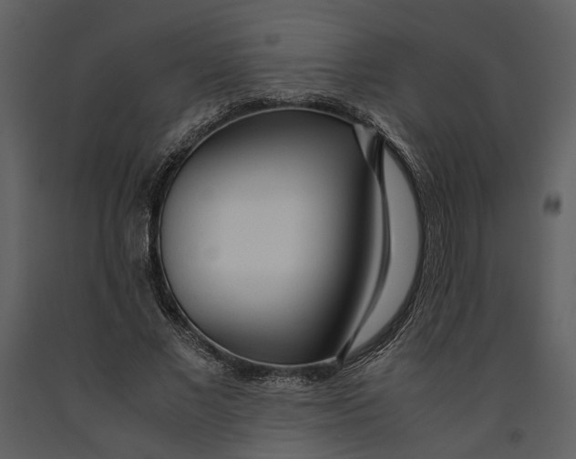 X0000090960685200708241153