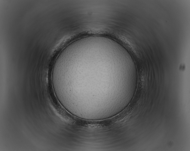 X0000090960686200708241153