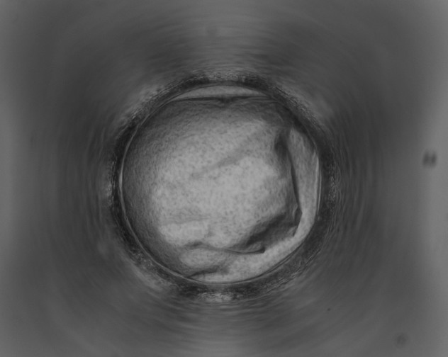 X0000090960687200708241153