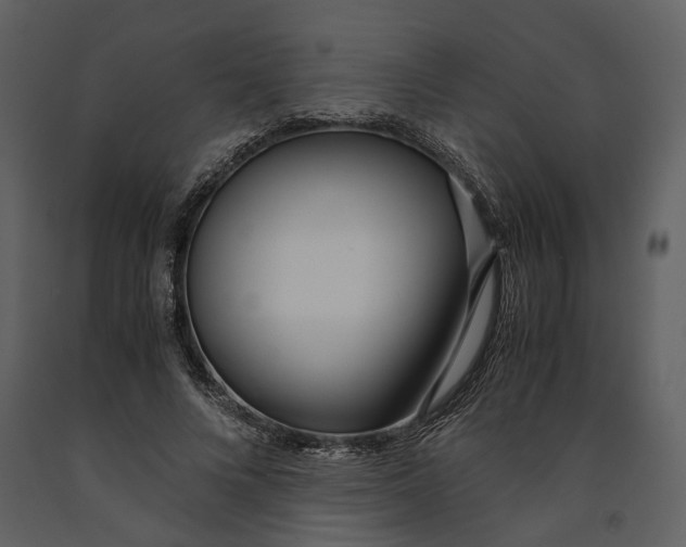 X0000090960688200708241153