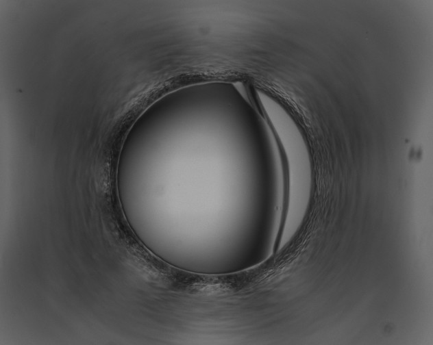 X0000090960689200708241153