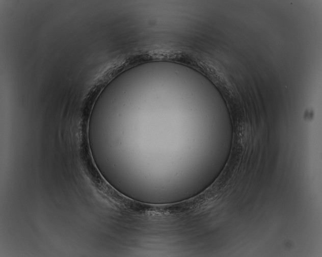 X0000090960690200708241153