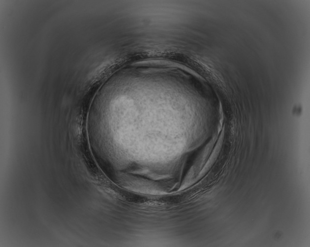 X0000090960691200708241153