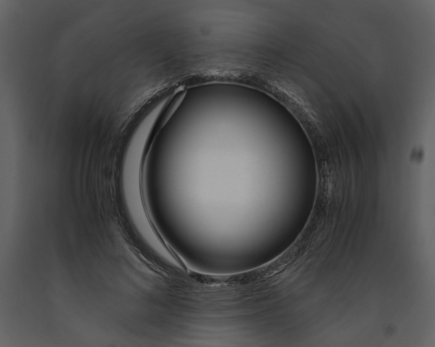 X0000090960692200708241153