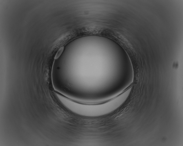 X0000090960693200708241153