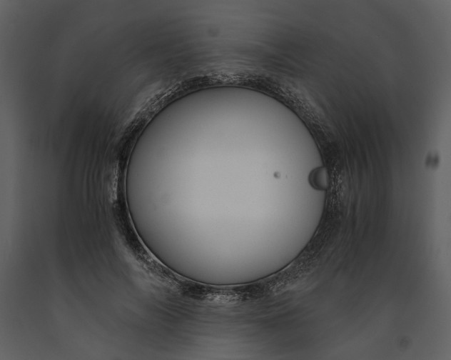 X0000090960694200708241153