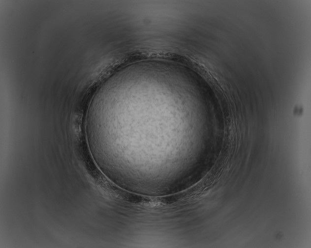 X0000090960695200708241153