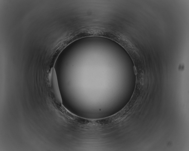 X0000090960696200708241153