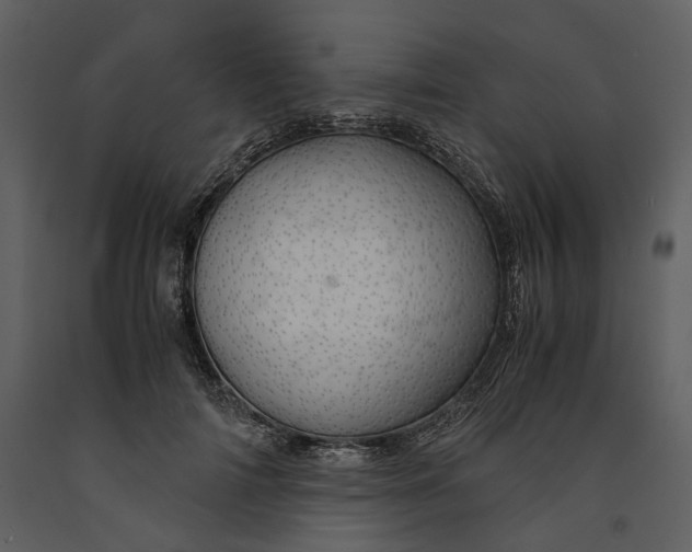 X0000090960698200708241153