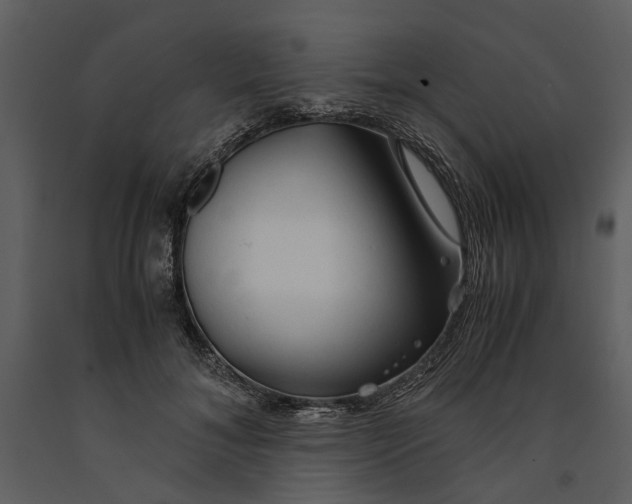 X0000090960700200708241153