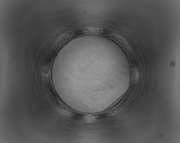 X0000090960701200708241153