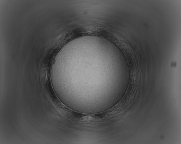 X0000090960703200708241153