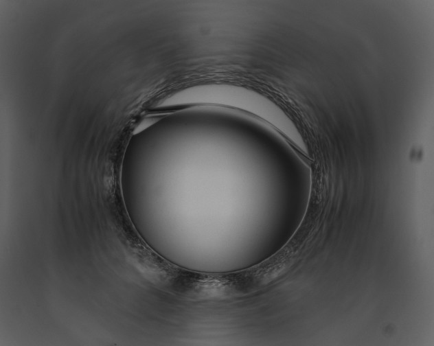 X0000090960704200708241153