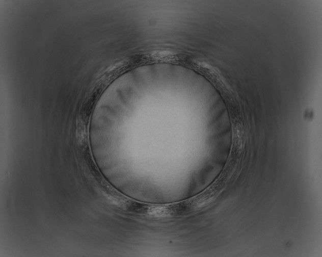 X0000090960705200708241153