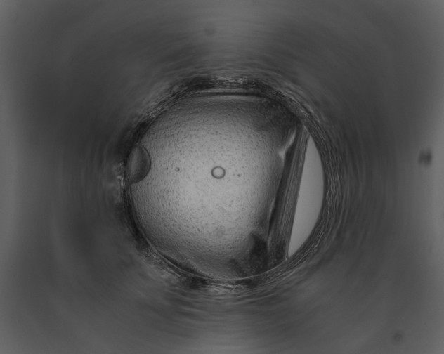 X0000090960707200708241153