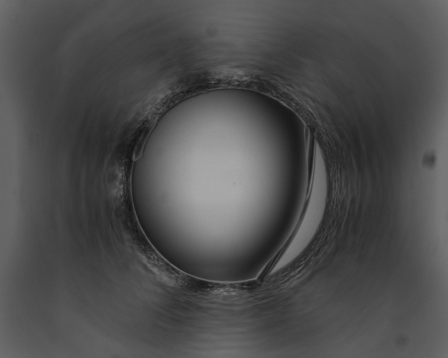 X0000090960708200708241153