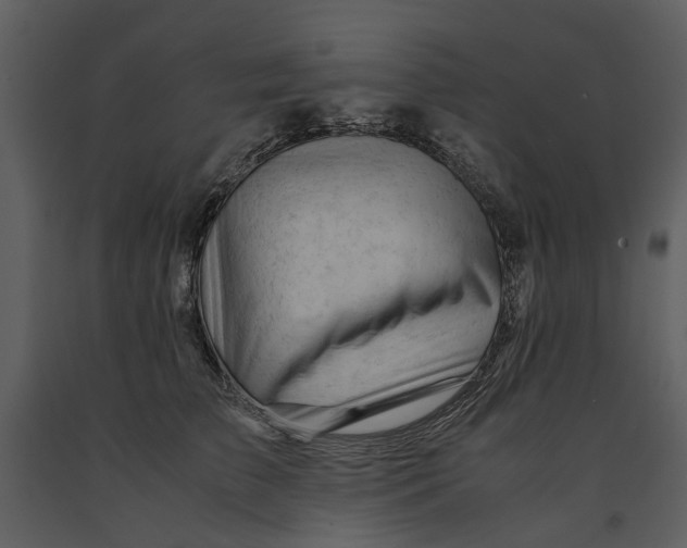 X0000090960709200708241153