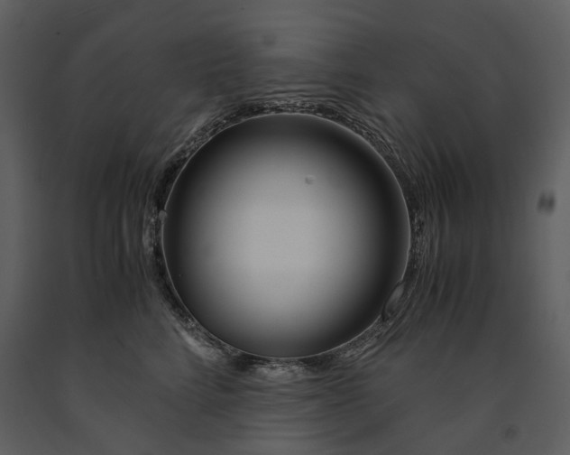 X0000090960712200708241153