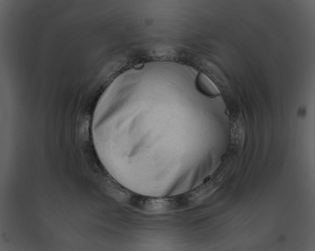 X0000090960717200708241152