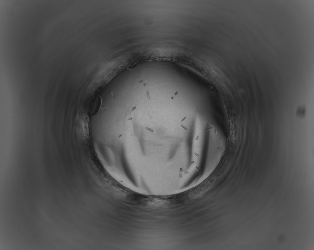 X0000090960718200708241152