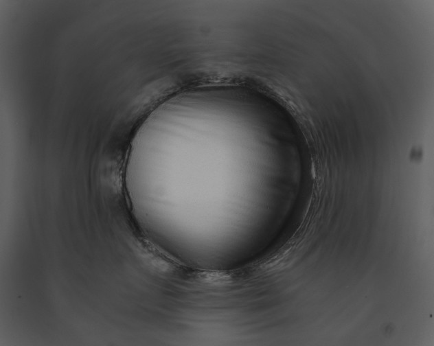 X0000090960719200708241152