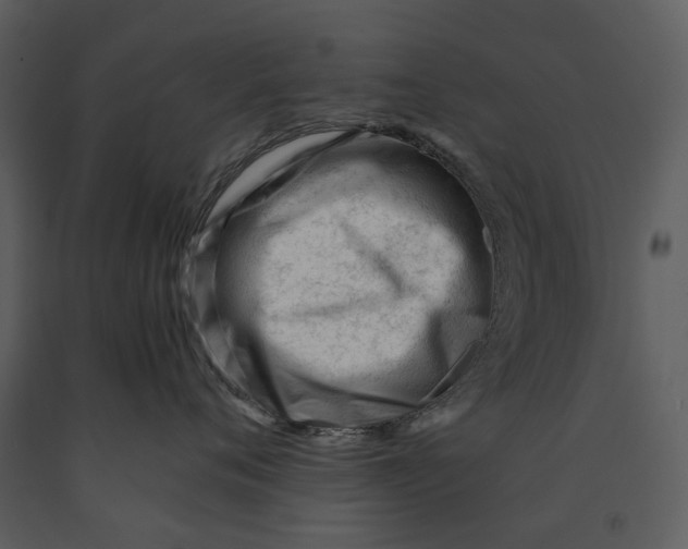 X0000090960720200708241152