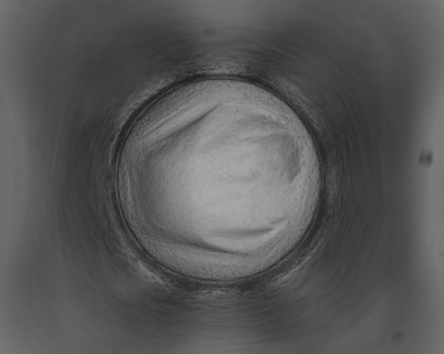 X0000090960721200708241152