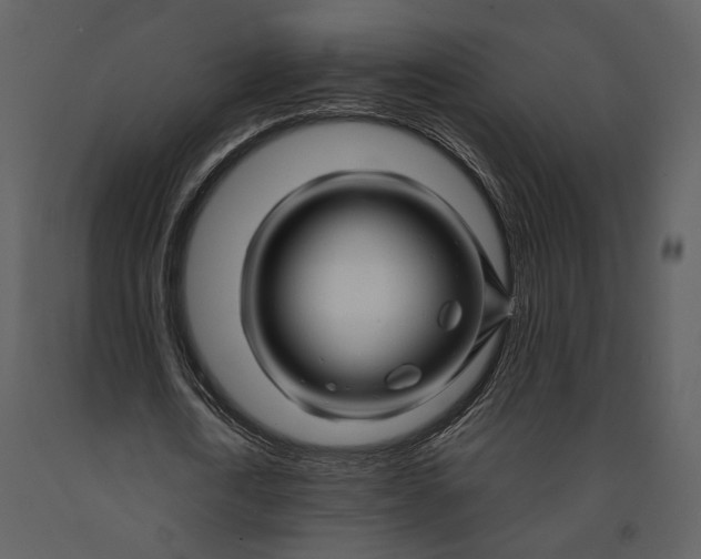 X0000090960722200708241152