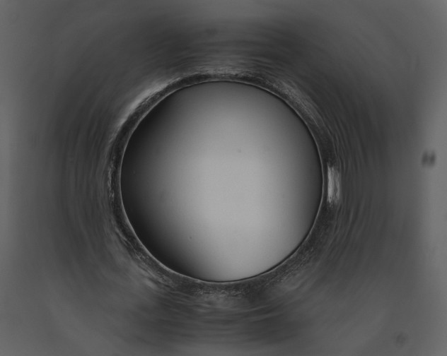 X0000090960723200708241152