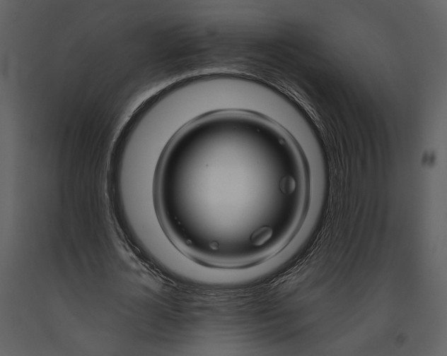 X0000090960724200708241152