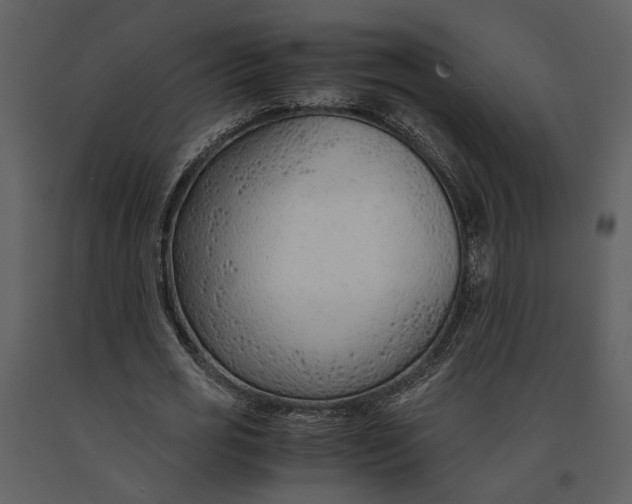 X0000090960725200708241152