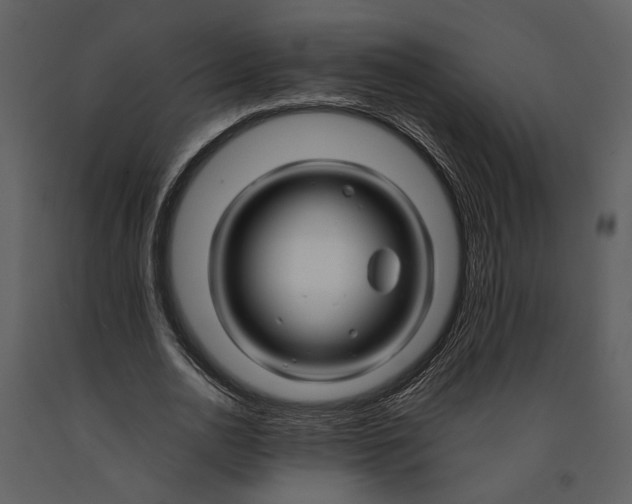 X0000090960726200708241152