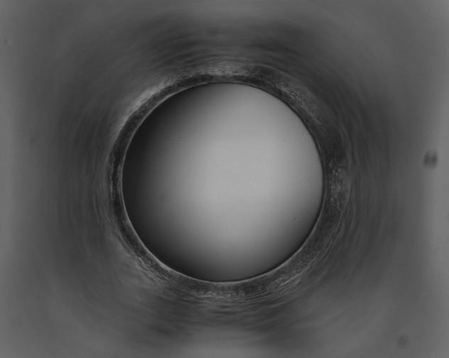 X0000090960727200708241152