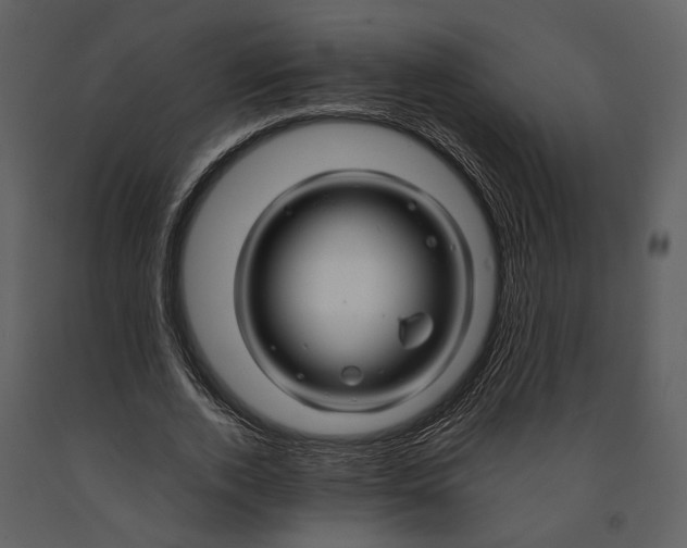 X0000090960728200708241152