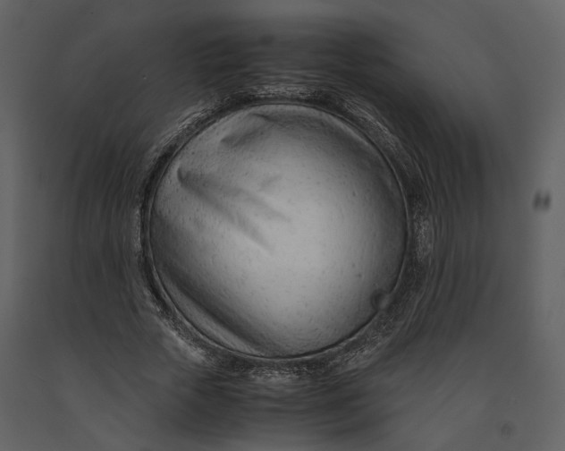 X0000090960729200708241152