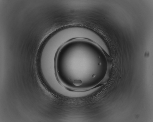 X0000090960730200708241152