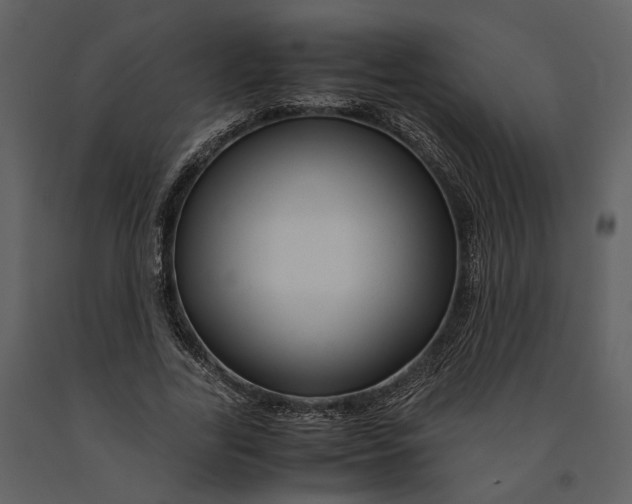 X0000090960731200708241152