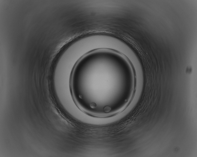 X0000090960732200708241152