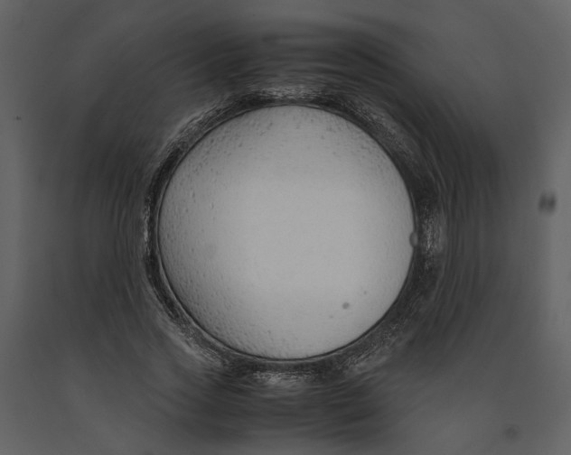 X0000090960733200708241152