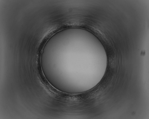 X0000090960735200708241152