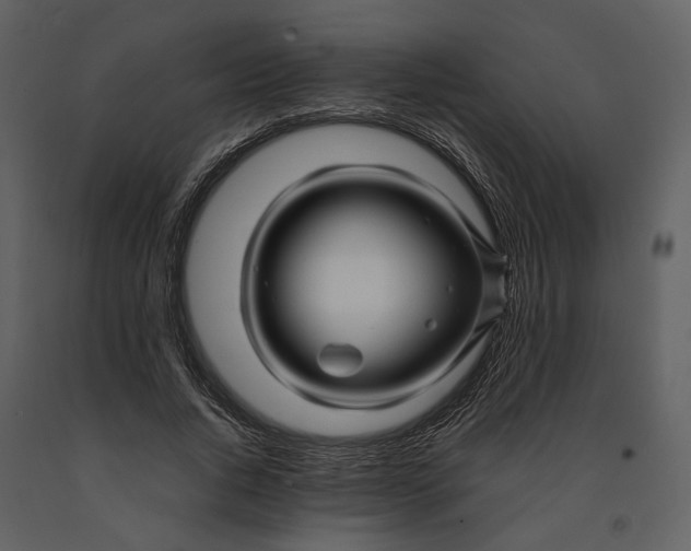 X0000090960736200708241152