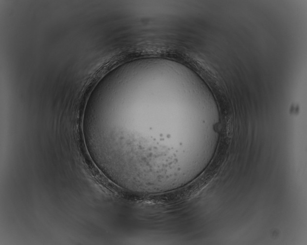 X0000090960737200708241152