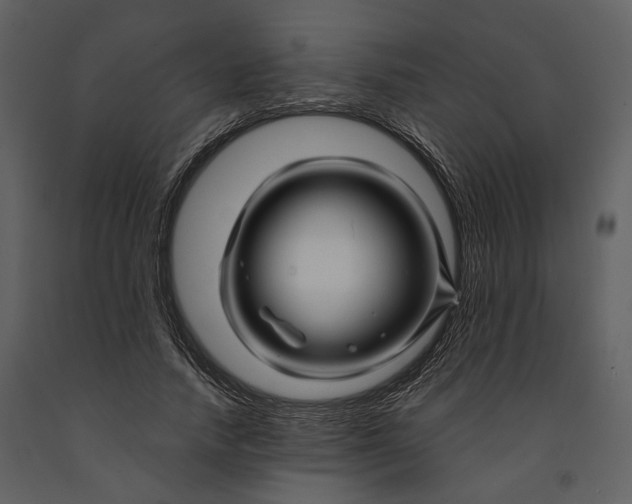 X0000090960738200708241152