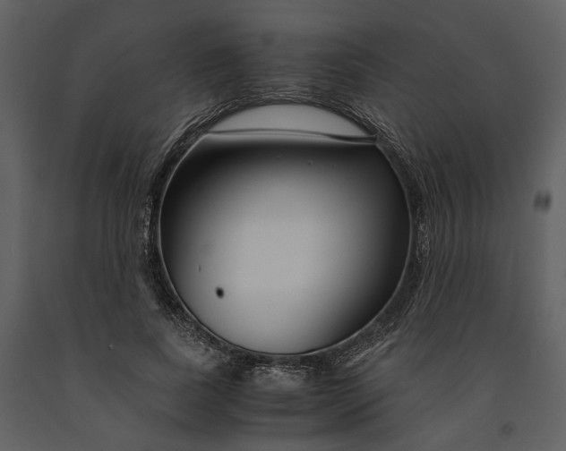 X0000090960739200708241152