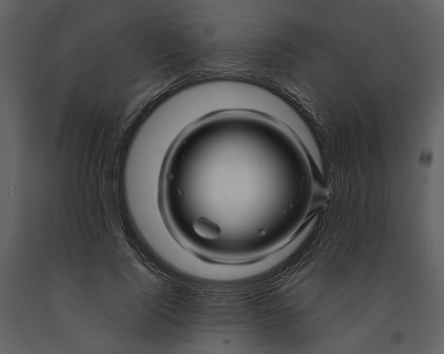X0000090960740200708241152